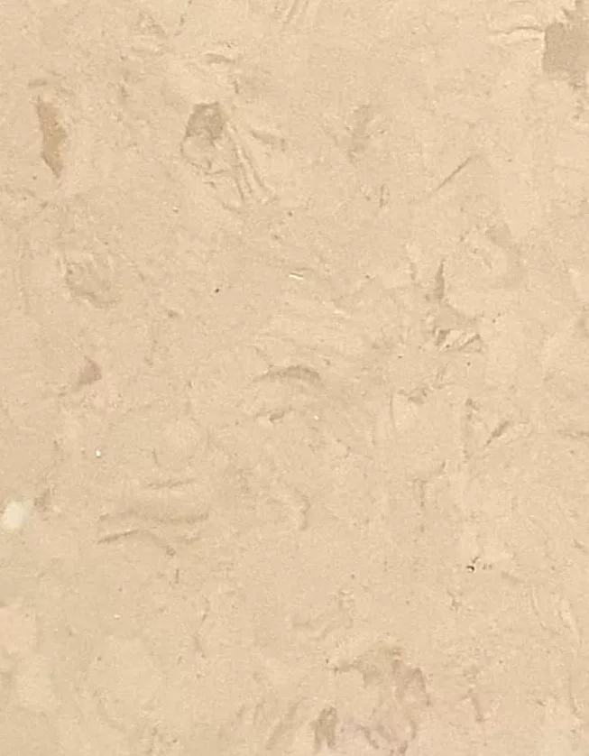 JPL19-5233