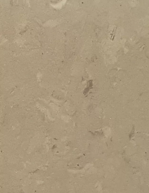 JPL19-5234