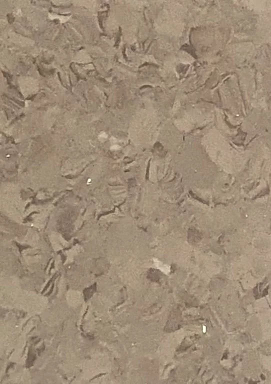 JPL19-5237