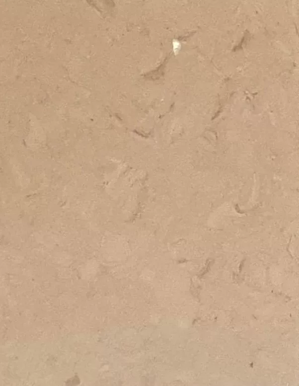 JPL19-5239