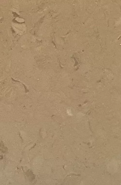 JPL19-5240