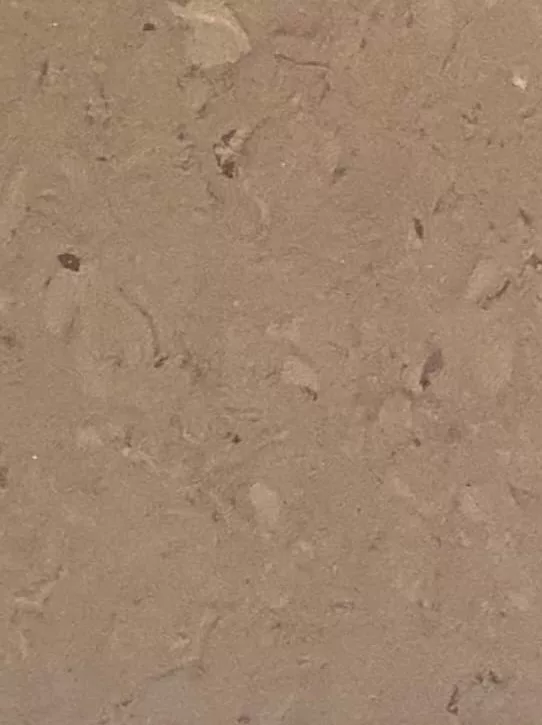 JPL19-5241