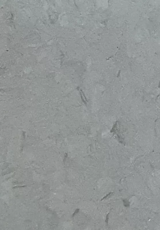 JPL19-5245