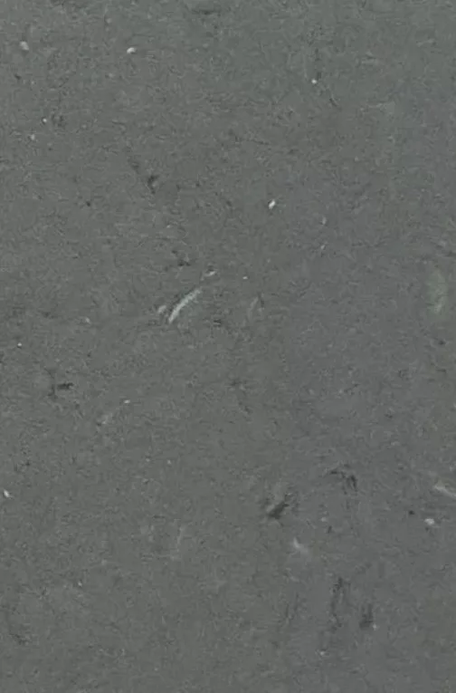 JPL19-5246