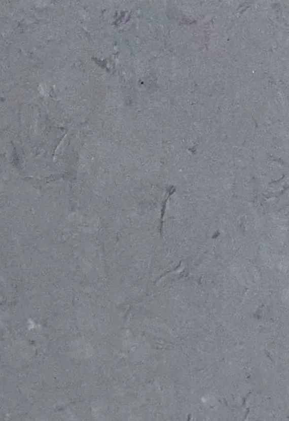 JPL19-5247