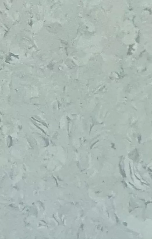 JPL19-5252