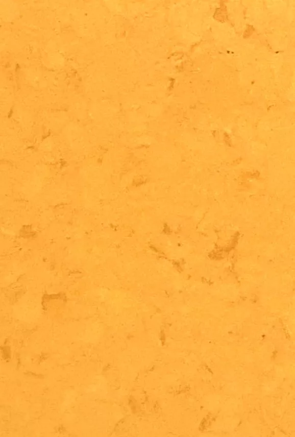 JPL19-5255