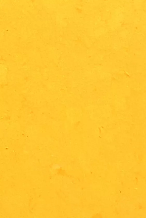 JPL19-5256