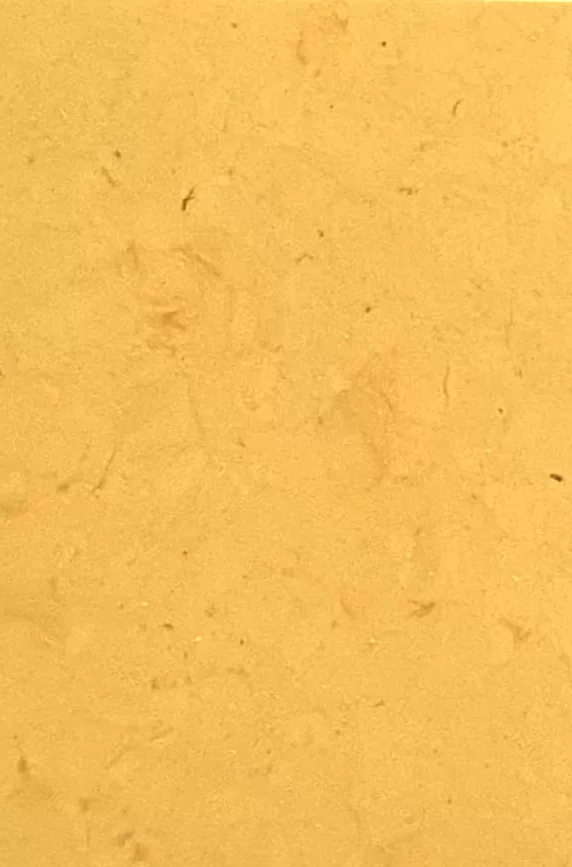 JPL19-5257