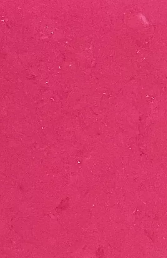JPL19-5261