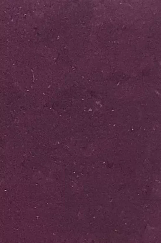 JPL19-5262