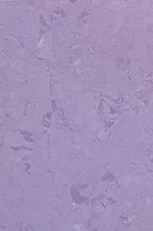JPL19-5263