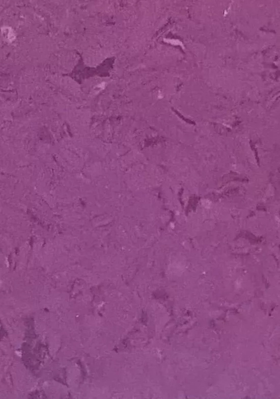 JPL19-5264