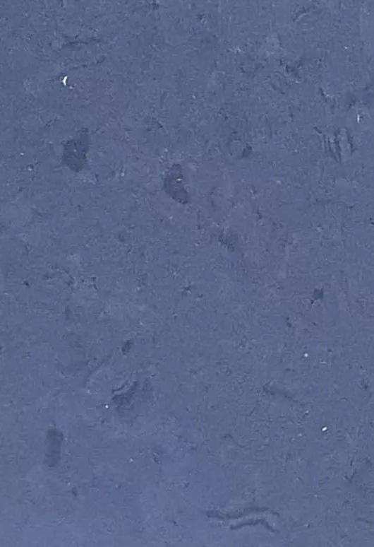 JPL19-5265