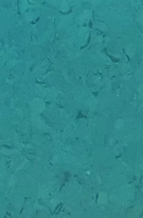 JPL19-5274