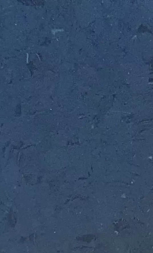 JPL19-5276