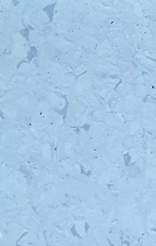 JPL19-5278