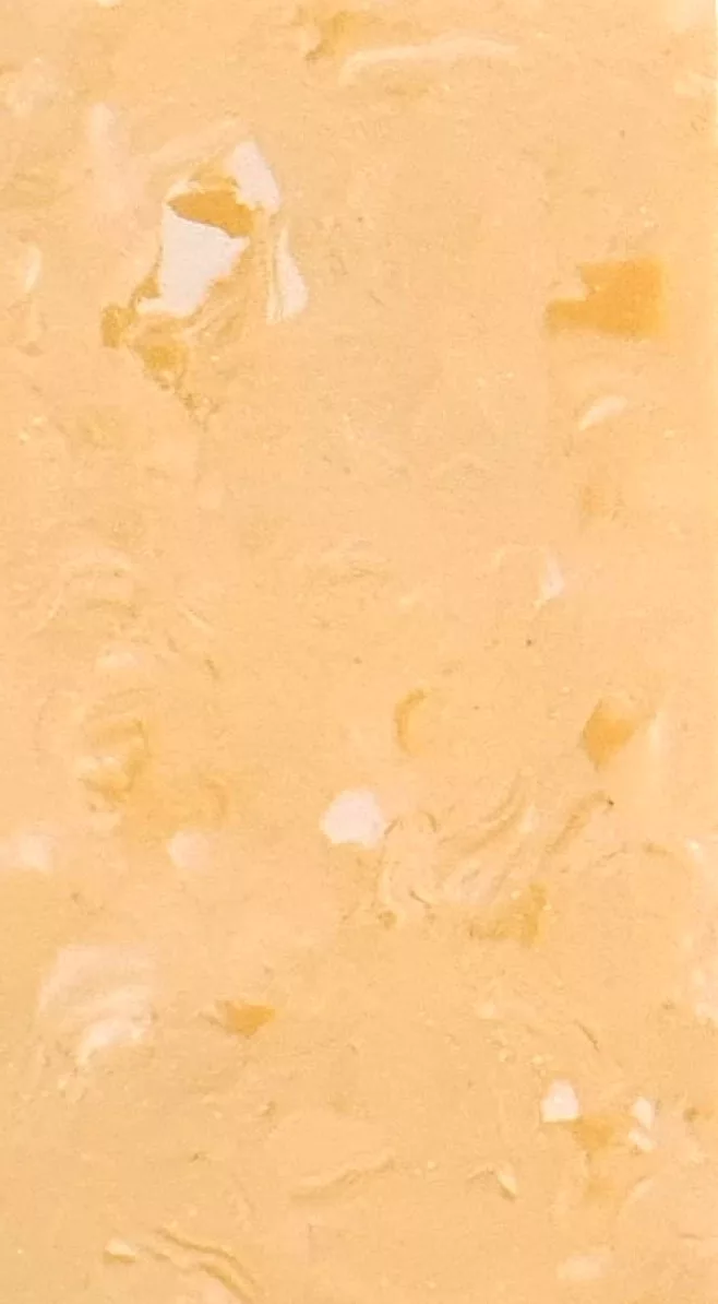 JPL19-1003