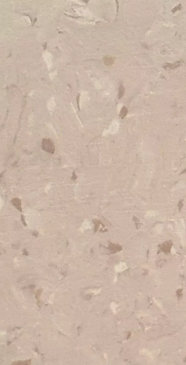 JPL19-1005