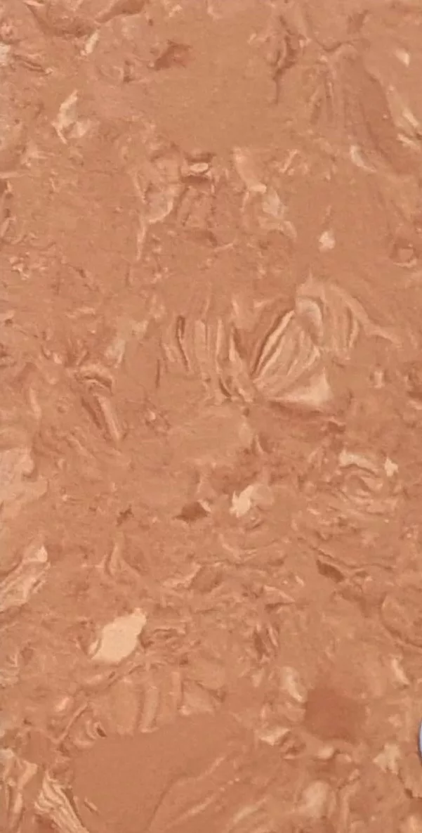 JPL19-1007