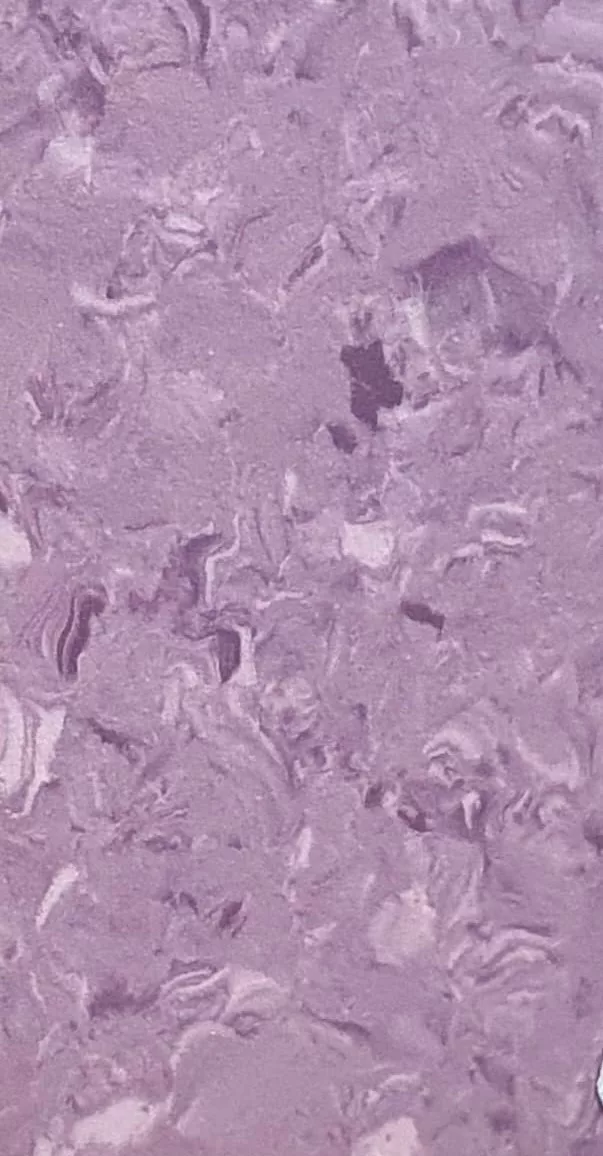 JPL19-1018
