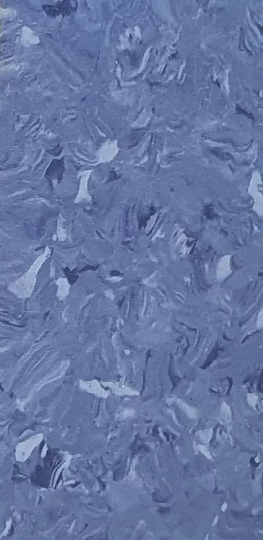 JPL19-1019