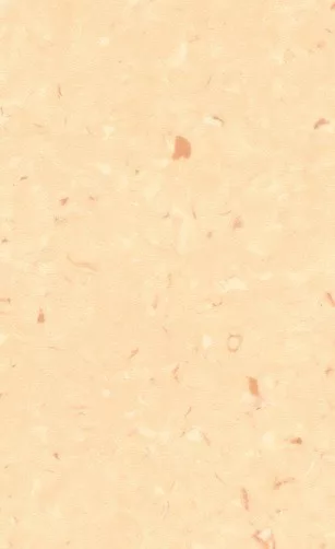 JPL19-2237