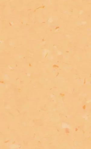 JPL19-2325