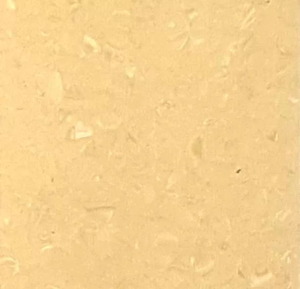 JPL19-3309