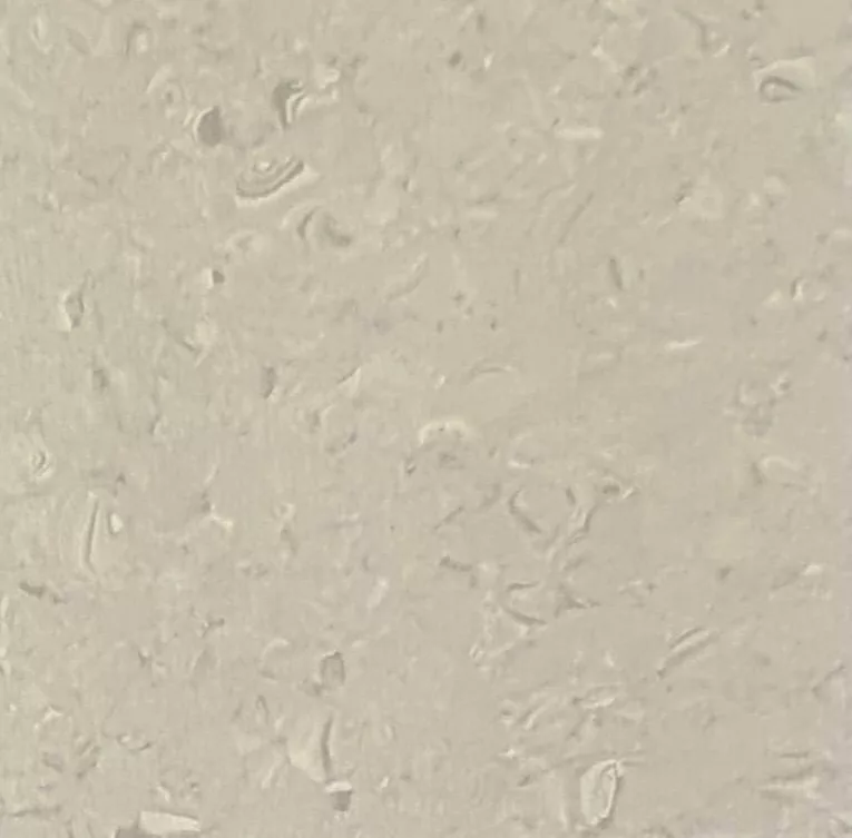 JPL19-3317