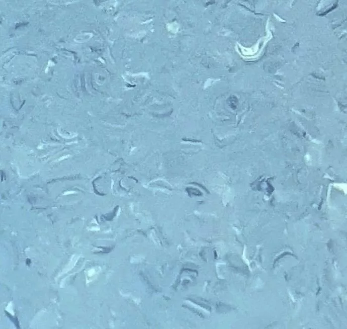 JPL19-3337