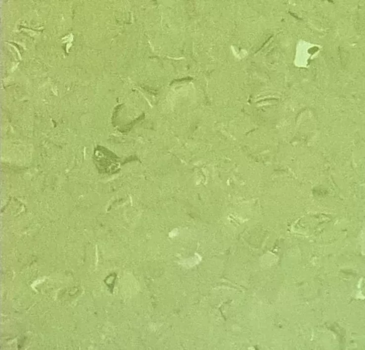 JPL19-3373